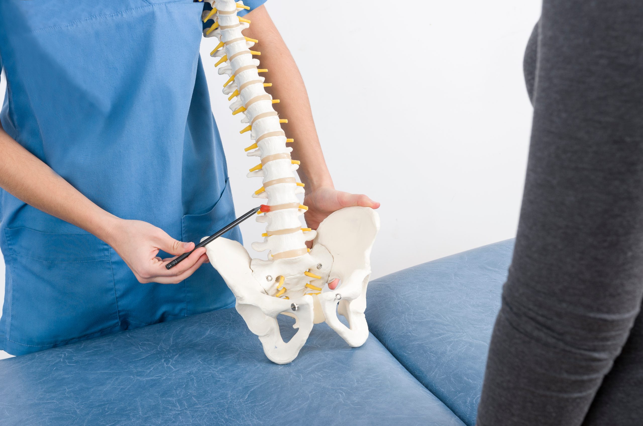 Chiropractor explaining a spinal disc problem using a spine model.